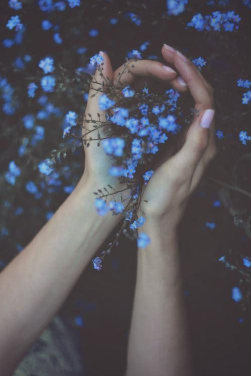 Whimsical Twilight Bloom Radiance
